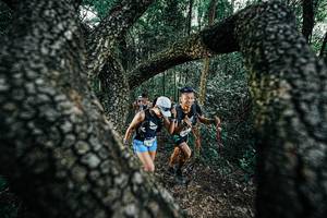 BIB: 
                            <button type="button" onclick="openModal(25392001)" class="btn btn-primary btn-sm float-right btn-popup" data-toggle="modal" data-target=".modal-high-quality">
                        <i class="fas fa-shopping-cart"></i> Add to Cart
                    </button>
                                            <button type="button" onclick="isThisMe(25392001, true)" class="btn btn-success btn-sm float-right btn-popup btn-isme hidden" data-toggle="tooltip" data-placement="bottom" title="นี่คือรูปของคุณใช่ไหม คลิกที่นี่เพื่อเอาเข้าอัลบั้ม">
                        <i class="fas fa-plus"></i> Add to album
                    </button>
                    <button type="button" onclick="isThisMe(25392001, false)" class="btn btn-warning btn-sm float-right btn-popup btn-isnotme hidden">
                        <i class="fas fa-ban"></i> Remove from album
                    </button>